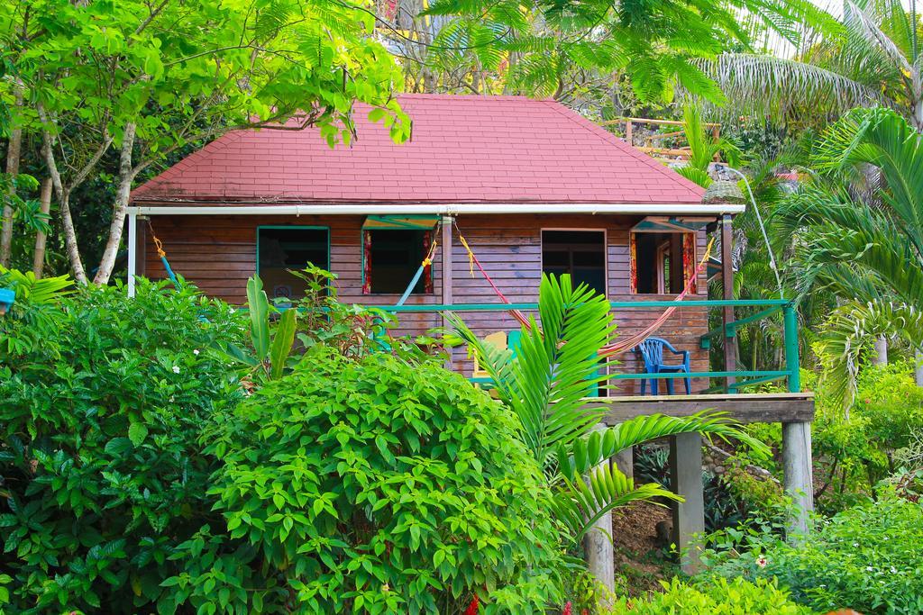 Bed and Breakfast Zion Country Manchioneal Zimmer foto