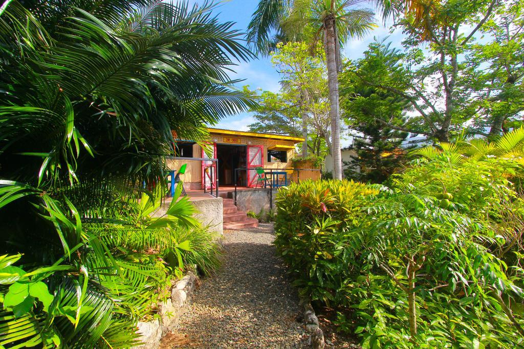 Bed and Breakfast Zion Country Manchioneal Exterior foto